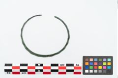 Foto von Bronzemelonenarmreif (NHMW-PRAE-026135)